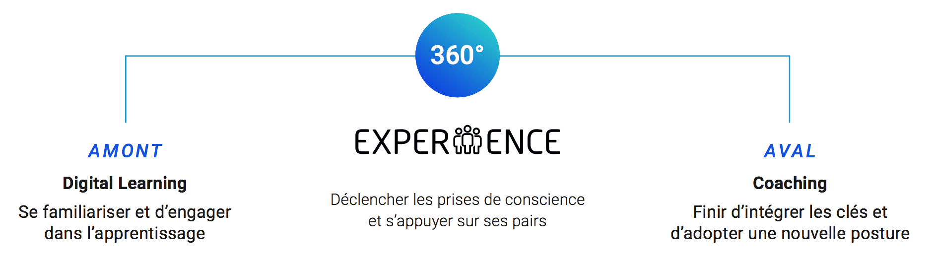 Schéma formation mixte blended learning Schéma formation mixte blended learning